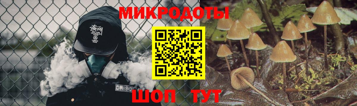 Псилоцибиновые грибы Psilocybe Серов