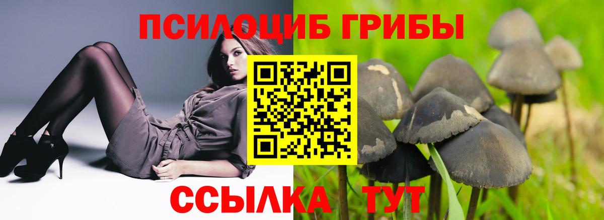 Серов  Галлюциногенные грибы Magic Shrooms  Вход с VPN  Псилоцибиновые грибы Magic Shrooms 